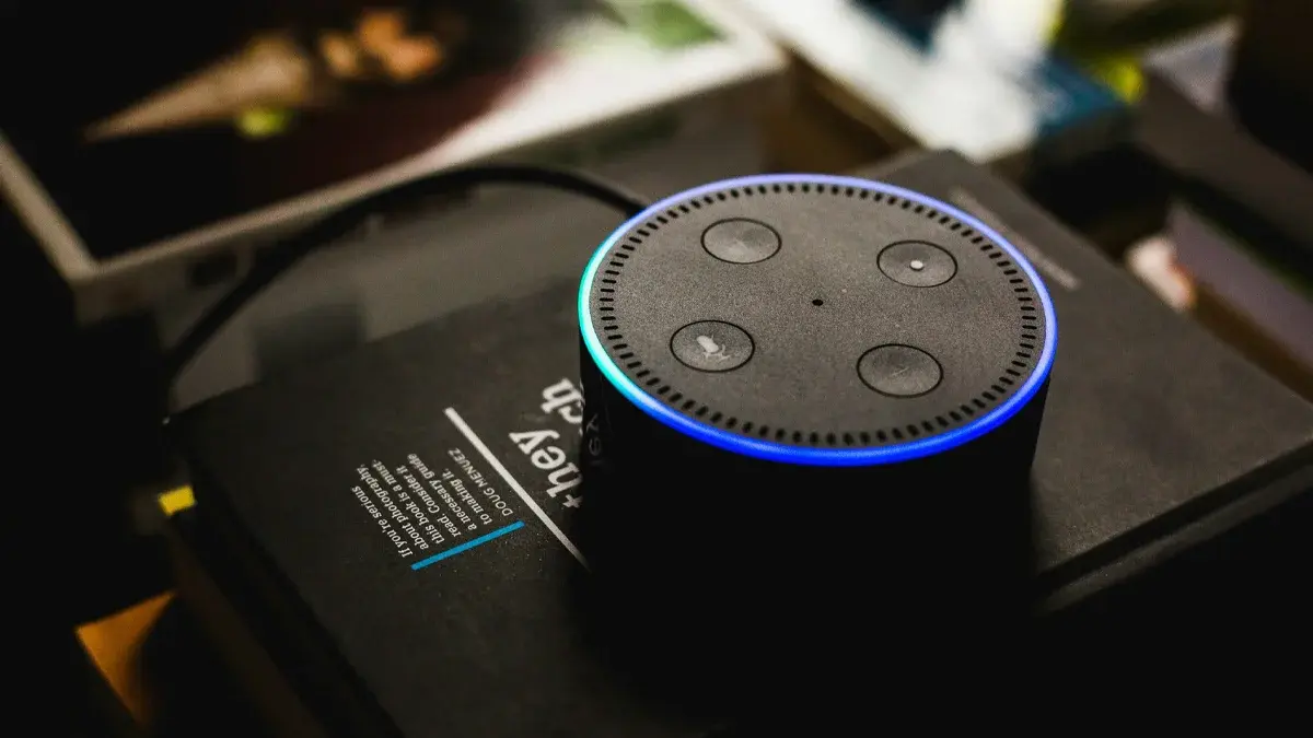 Alexa voice