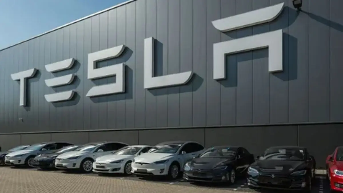 Tesla Europe sales plunge
