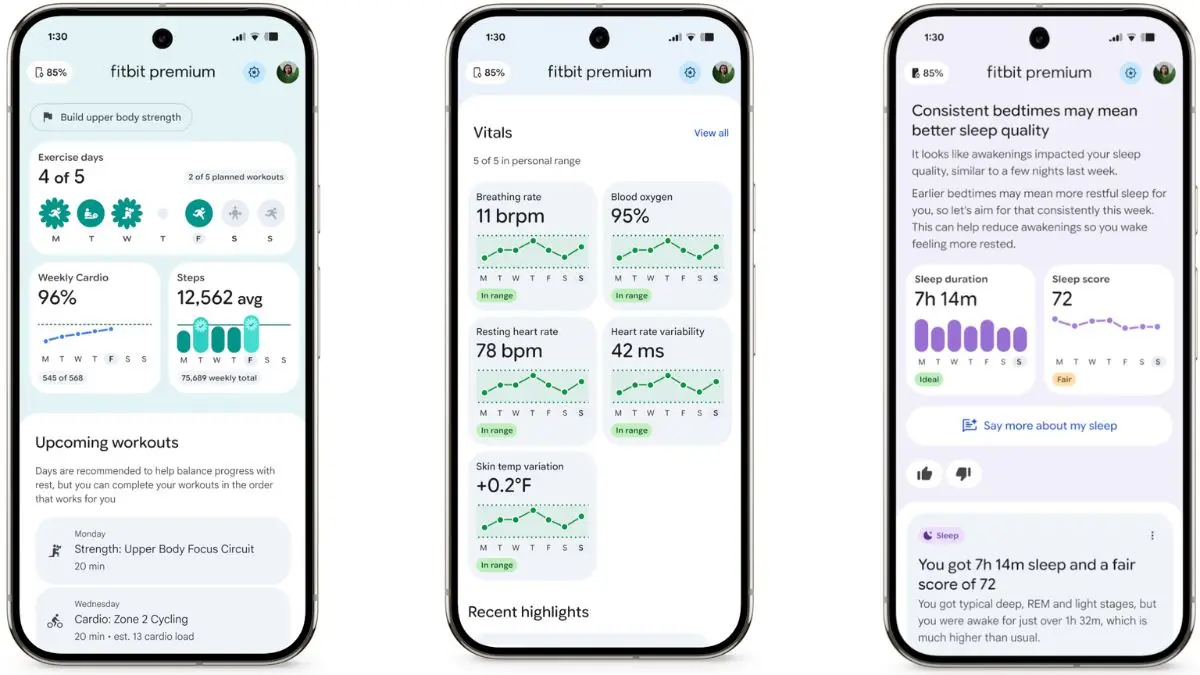 Google Fitbit AI coach