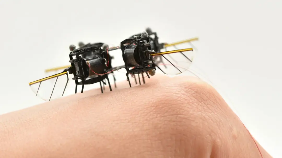 Why Is MIT Making Robot Insects? Inside the Physics of Micro-Robotics - TechResearch