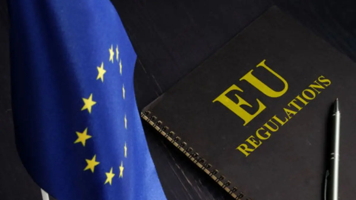 Meta and TikTok Win Legal Challenge Prompting EU to Recalculate Tech Fees Meta and TikTok win EU tech fees challenge