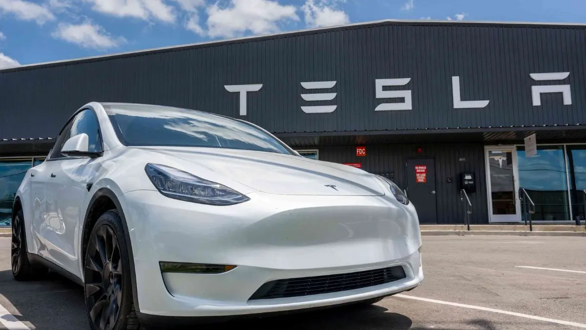 Tesla Releases Standard Versions of Model 3 and Model Y: Can the Price Unlock Demand? Tesla releases Model 3 and Model Y