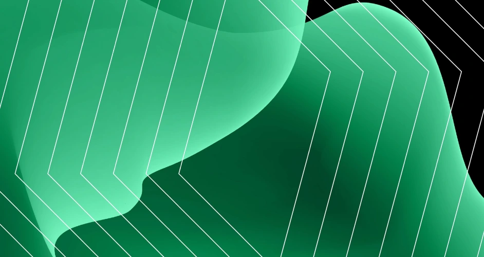 webflow-The-Total-Economic-Impact-bannner-image