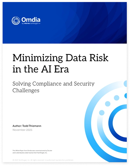 Minimizing Data Risk in the AI Era